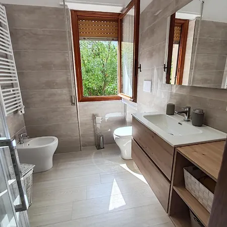 Lepalme * 阿拉西奥